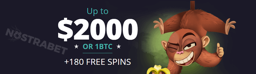 BitStarz Casino Canada Welcome Bonus